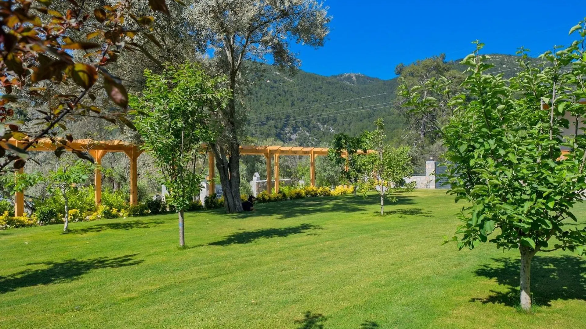 Villa Sharapova Fethiye